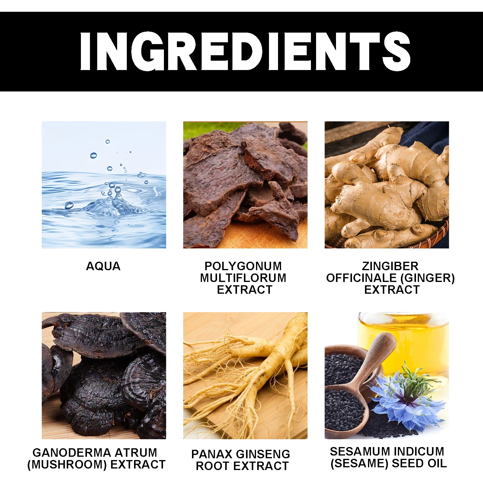 Polygonum Black Hair Shampoo | Herbal Hair Darkening Shampoo | Natural Gray Hair Coverage Shampoo | He Shou Wu Hair Shampoo | Anti-Gray Hair Herbal Shampoo | Chinese Herbal Hair Color Shampoo | Polygonum Multiflorum Hair Care | Herbal Hair Strengthening Shampoo​
