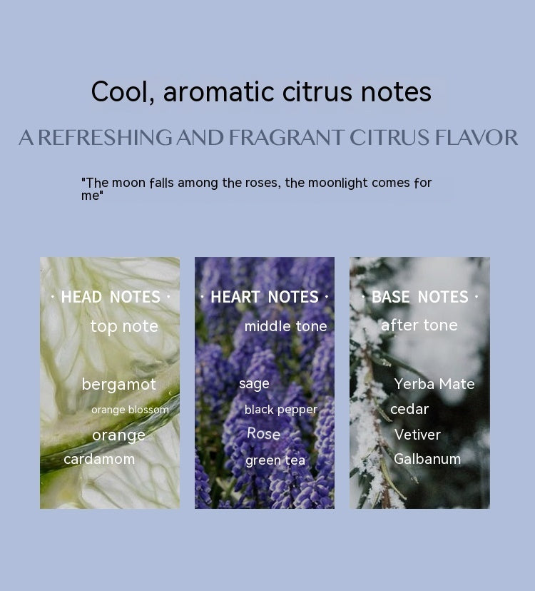 Aromatic Citrus Aromatic Perfume Long-lasting Perfume - Rituel Serein