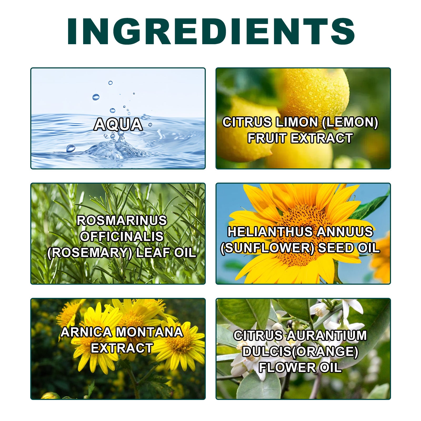 Moisturizing Bath Oil | Exfoliating Body Oil | Skin Firming Bath Treatment | Hydrating Bath Oil for Smooth Skin | Deep Cleansing Bath Oil | Gentle Exfoliating Bath Oil | Nourishing Bath Oil for Firm Skin | Body Softening Bath Oil | Spa Quality Bath Oil | Dual Action Bath Cleanser