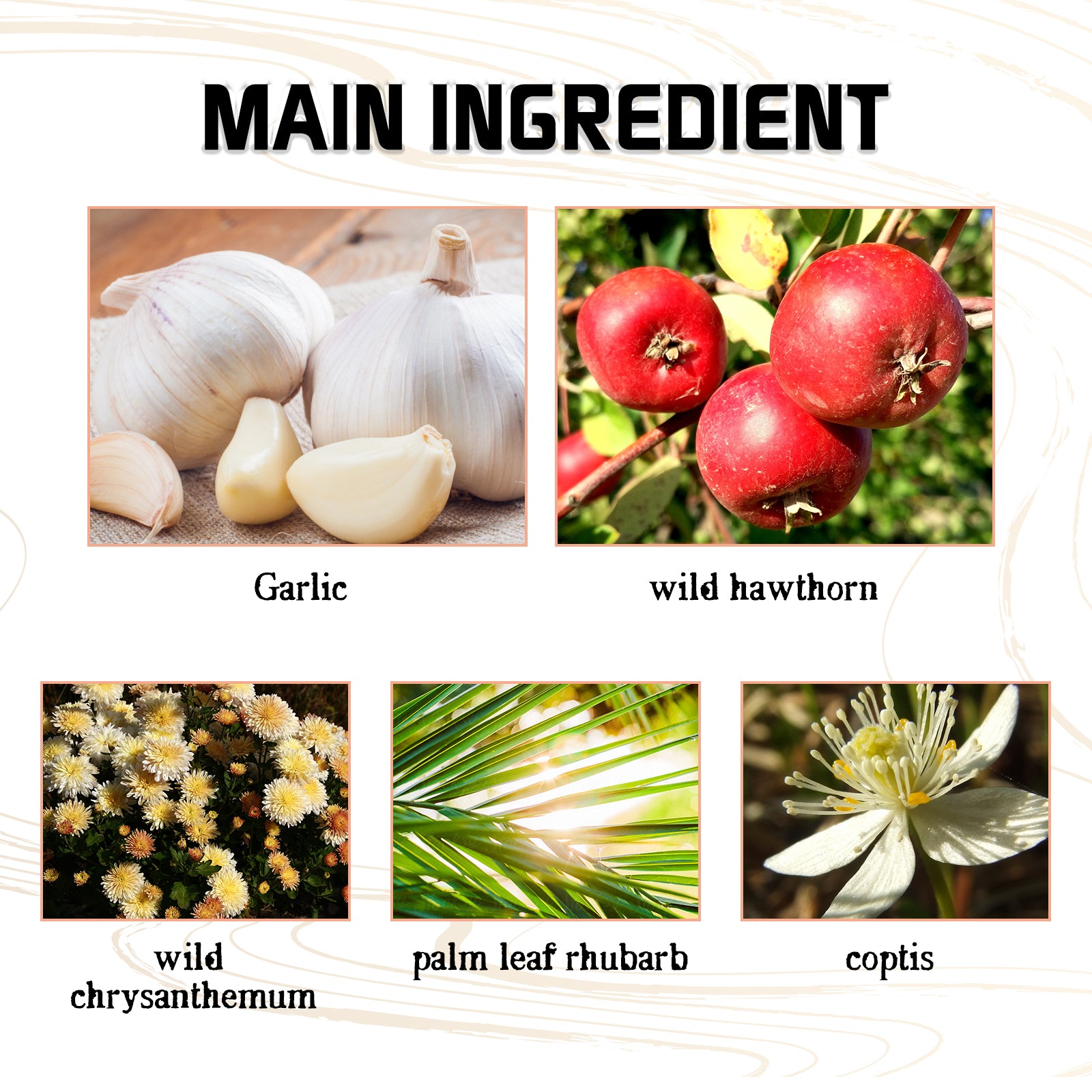 Garlic Extract Slimming Spray | Natural Fat Burner Body Spray | Herbal Cellulite Reduction Spray | Garlic Infused Weight Loss Spray | Body Firming Spray with Garlic | Organic Slimming Body Mist | Garlic Essence Fat Burning Spray | Skin Tightening Slimming Spray | Garlic-Based Body Sculpting Spray | Herbal Slimming Mist for Targeted Fat Loss​

