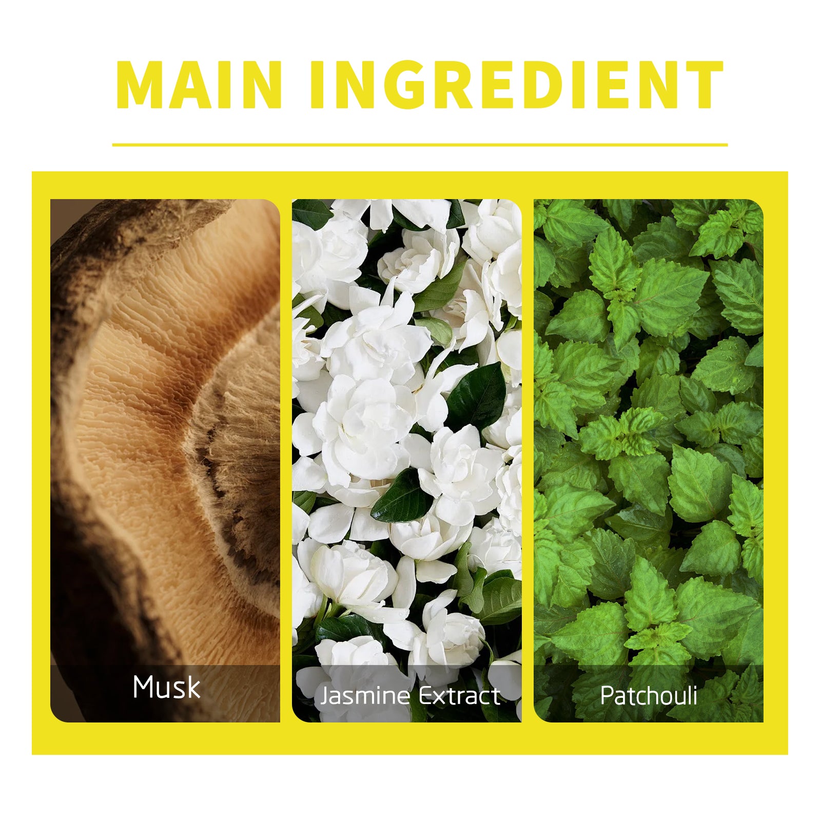 Unisex Fresh Fragrance Oil | Alcohol-Free Body Scent Oil | Natural Essential Oil Perfume | Long-Lasting Body Oil for Men and Women | Skin-Friendly Fragrance Oil | Daily Wear Scent Oil | Portable Fresh Scent Oil​

